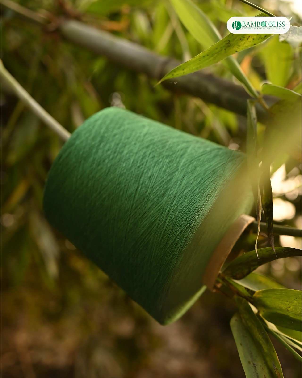 1-bamboobliss.jpg